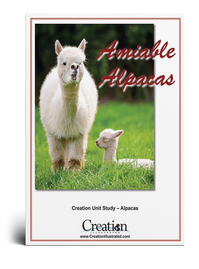 Alpaca Unit Study