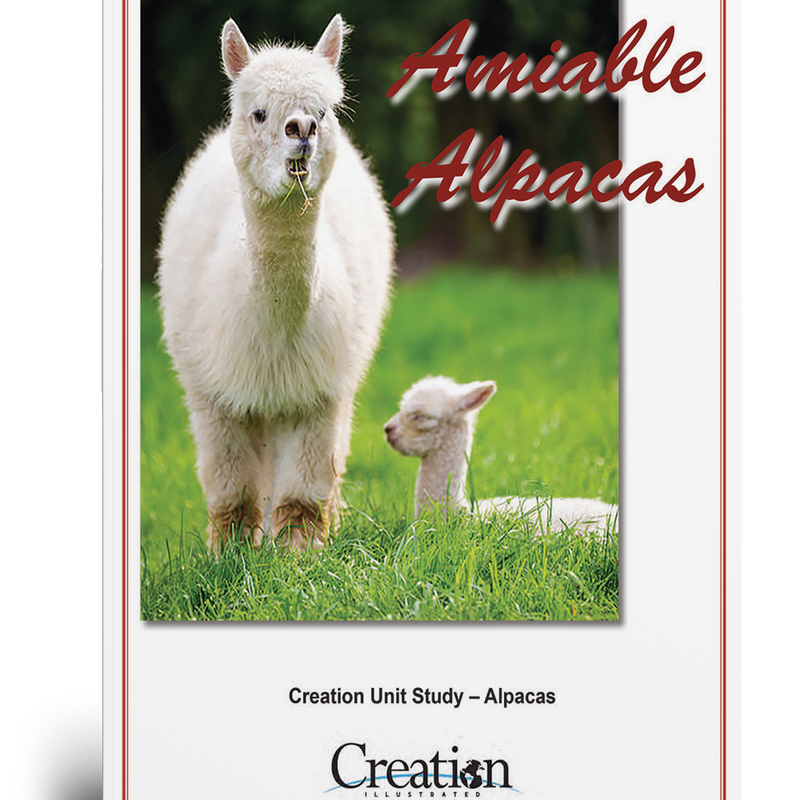 Alpaca Unit Study