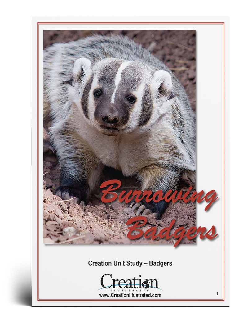 Badger Unit Study