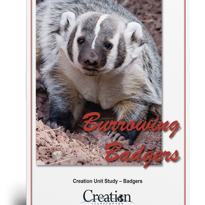 Badger Unit Study