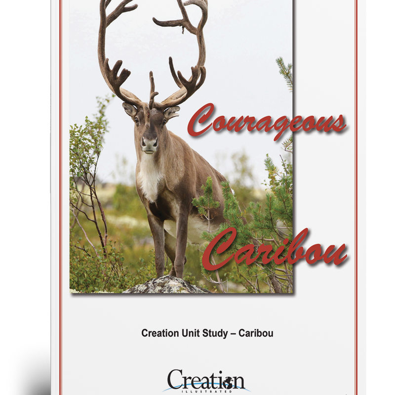 Caribou Unit Study