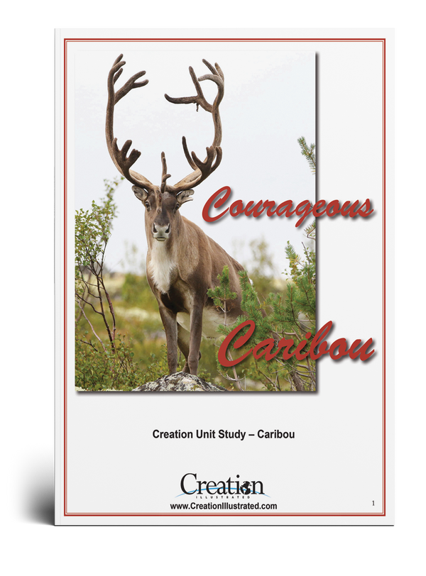 Caribou Unit Study