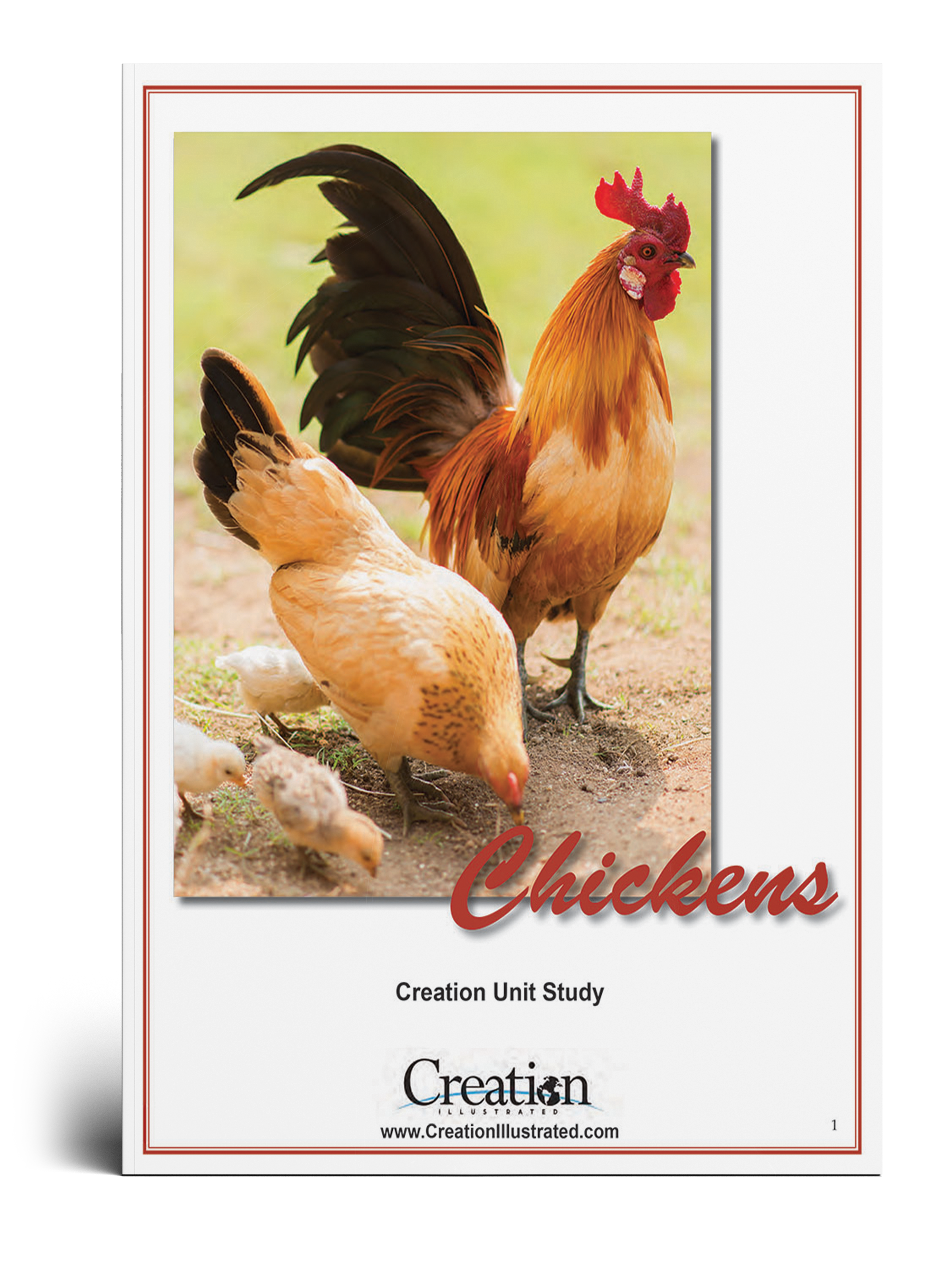 Chicken Unit Study – Creation Illustrated