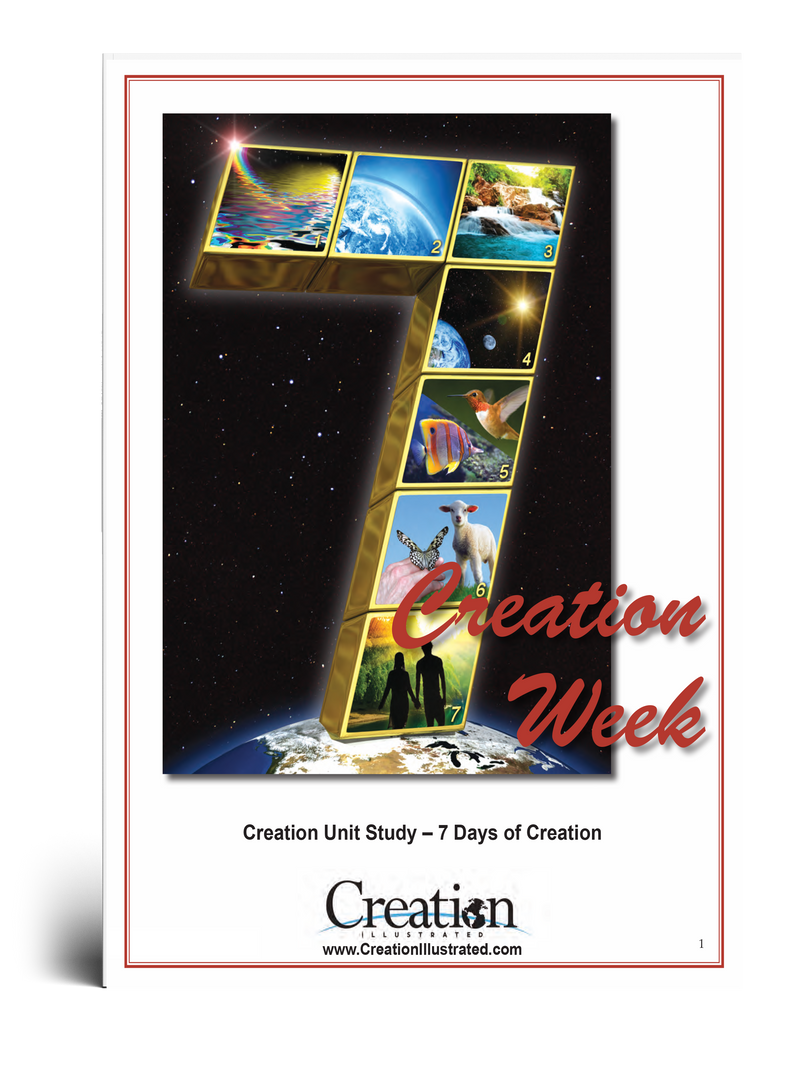 Creation Week