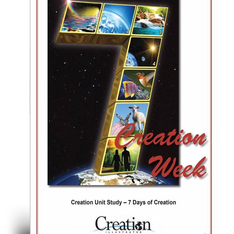 Creation Week