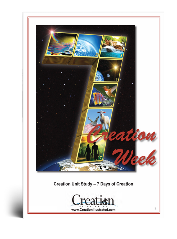 Creation Week