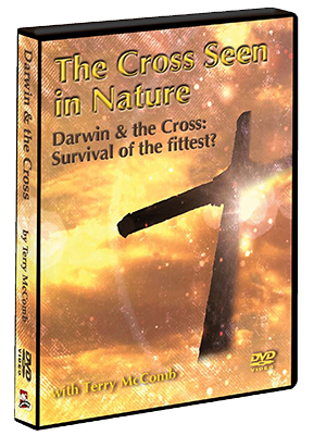 Darwin & The Cross – DVD