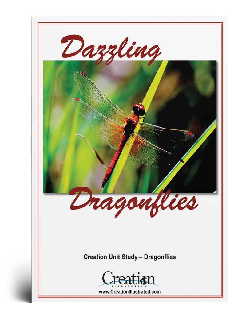 Dragonflies Unit Study