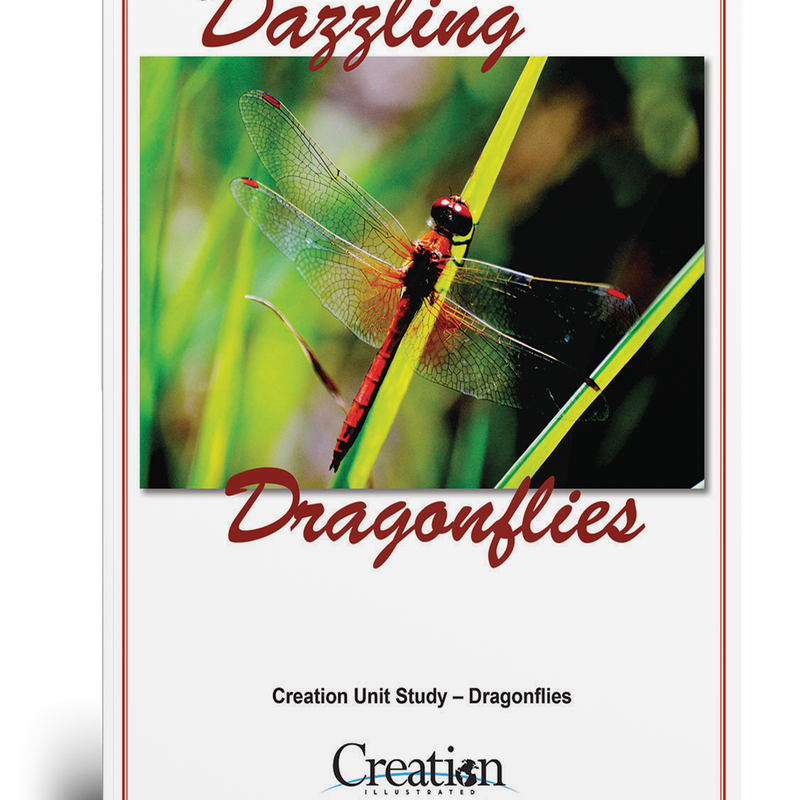 Dragonflies Unit Study