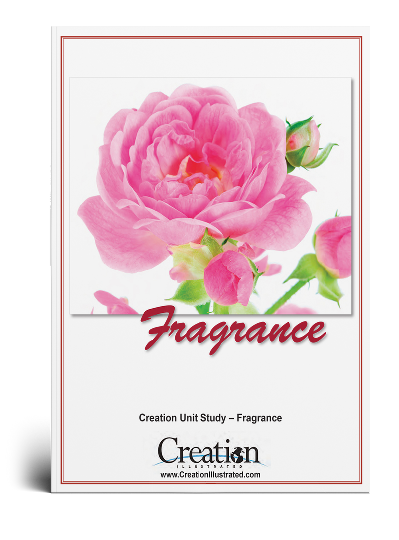 Fragrance Unit Study