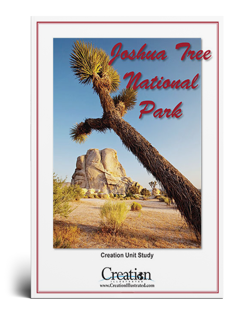 Joshua Tree National Park Unit Study