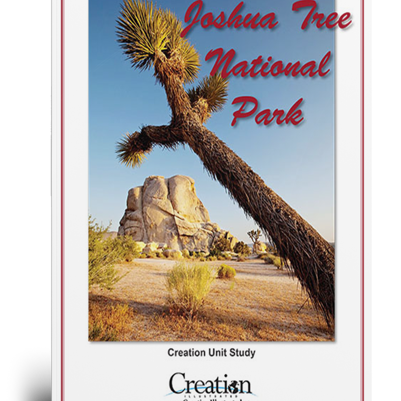 Joshua Tree National Park Unit Study