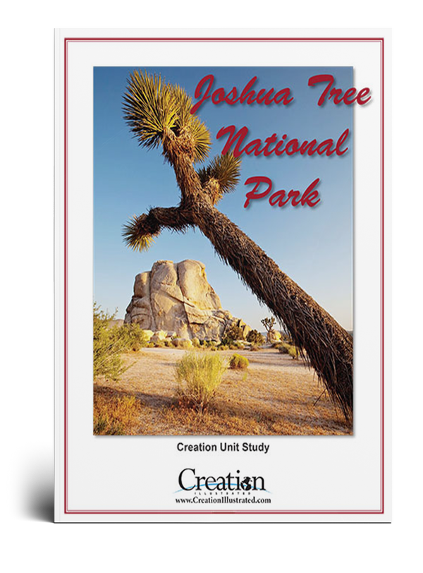 Joshua Tree National Park Unit Study