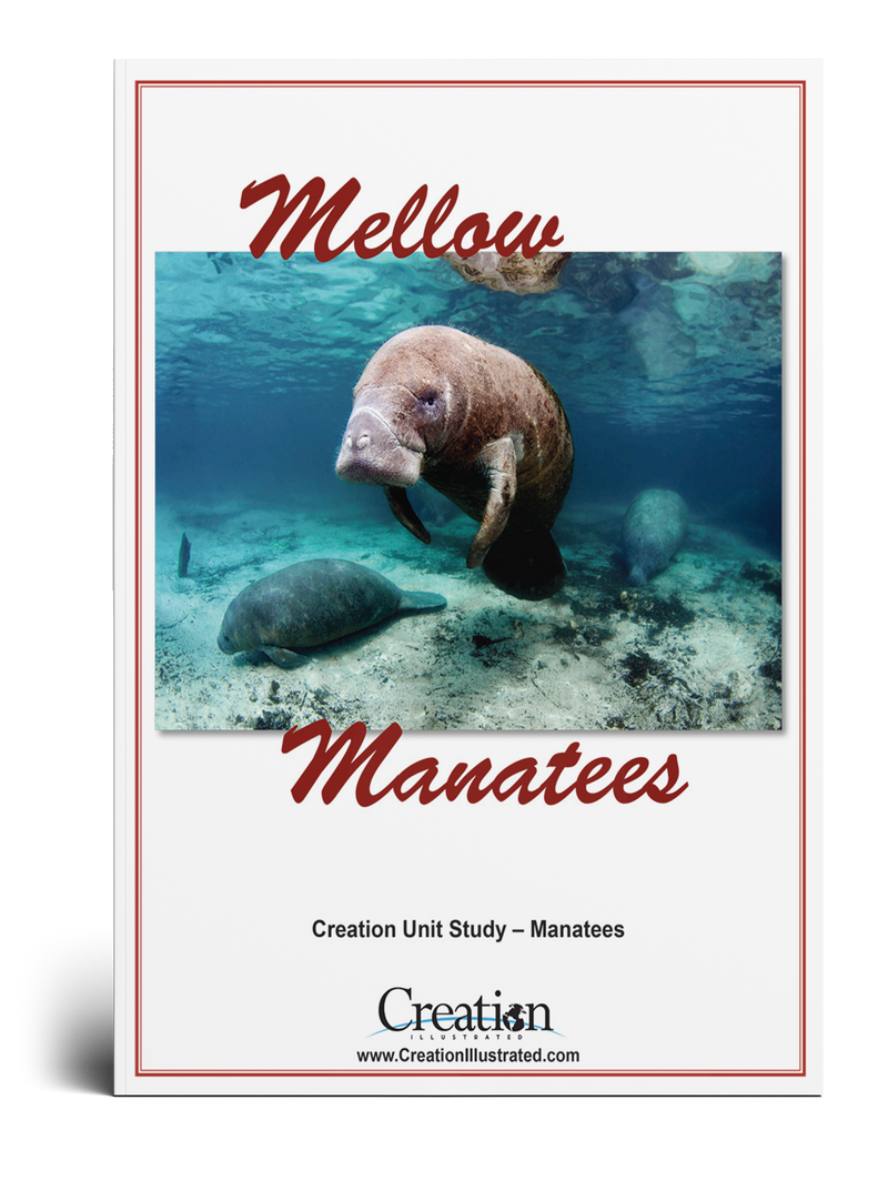 Manatees Unit Study