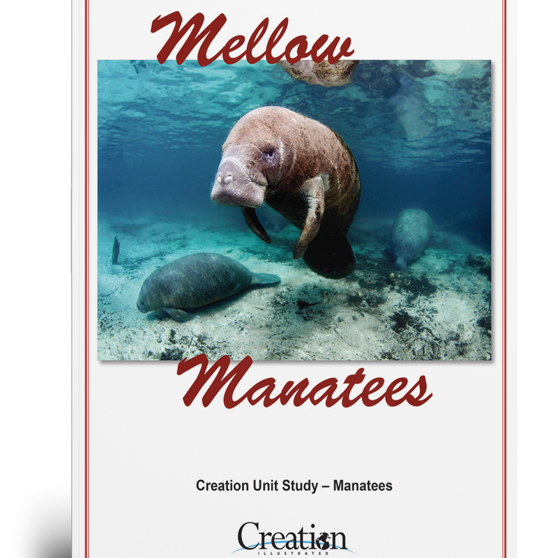 Manatees Unit Study