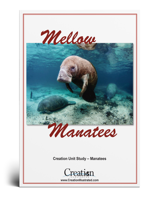 Manatees Unit Study