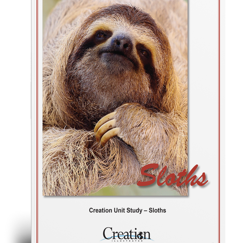 Sloth Unit Study