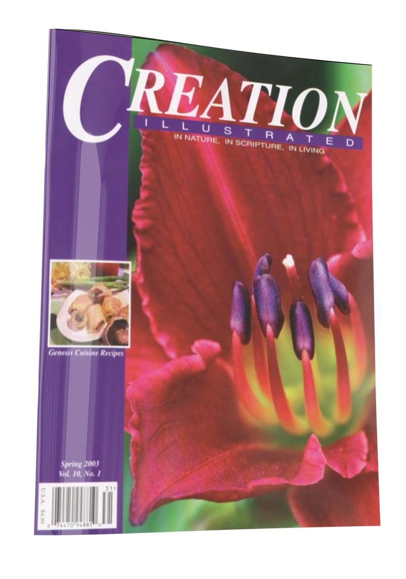 Creation Spring Spring 2003 – Creation Illustrated
