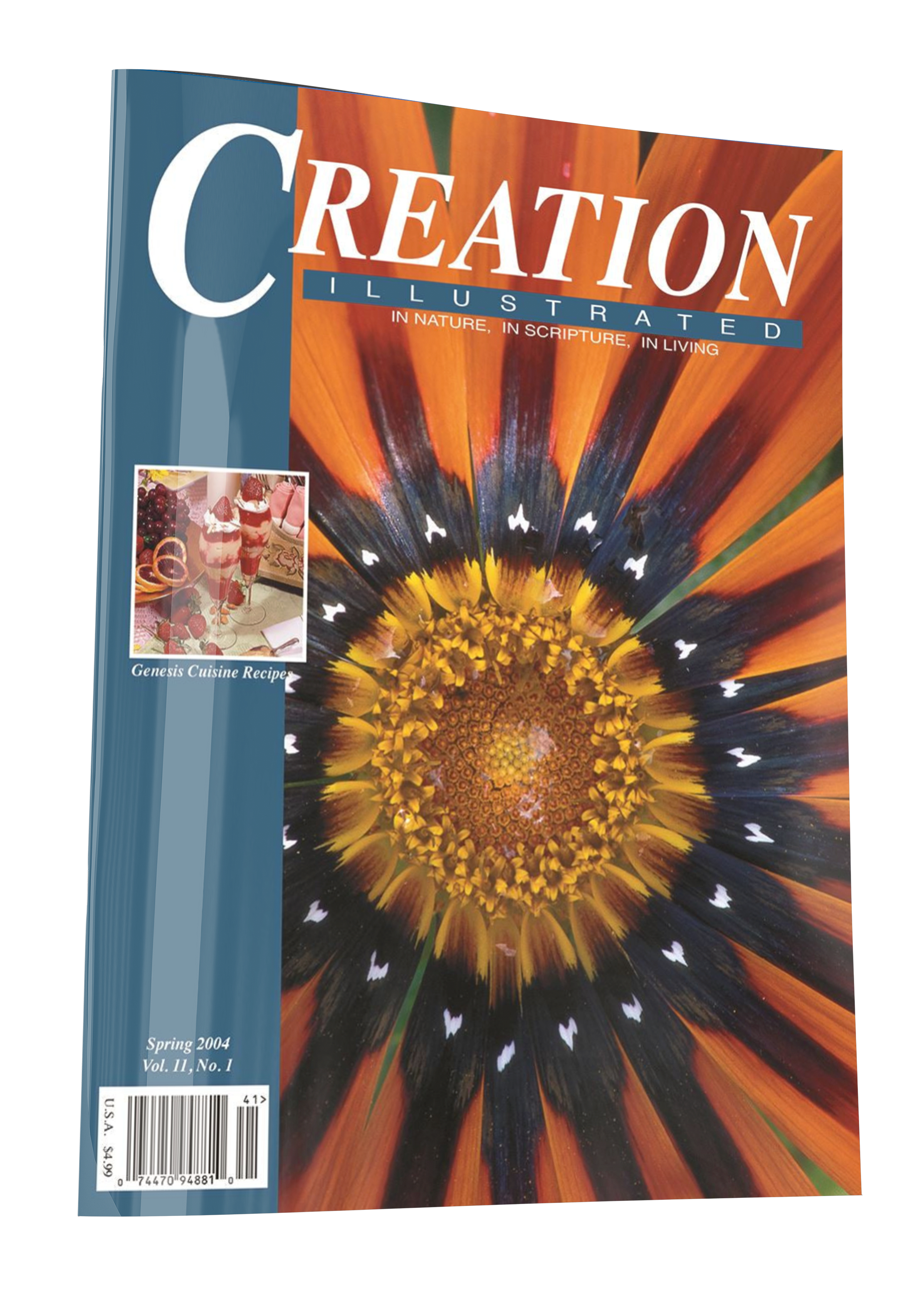 Spring 2004 – Creation Illustrated