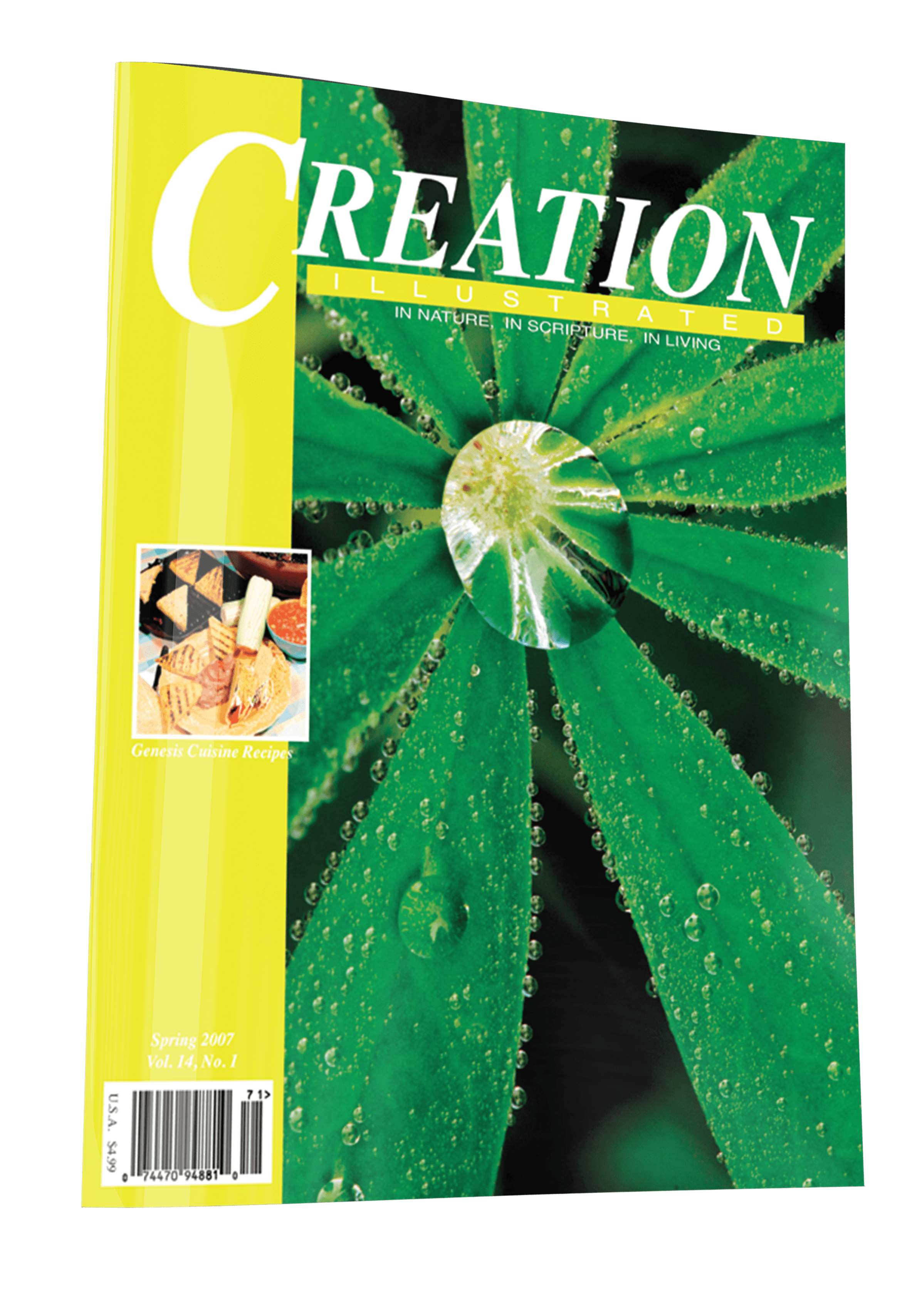 Creation Spring Spring 2007 – Creation Illustrated