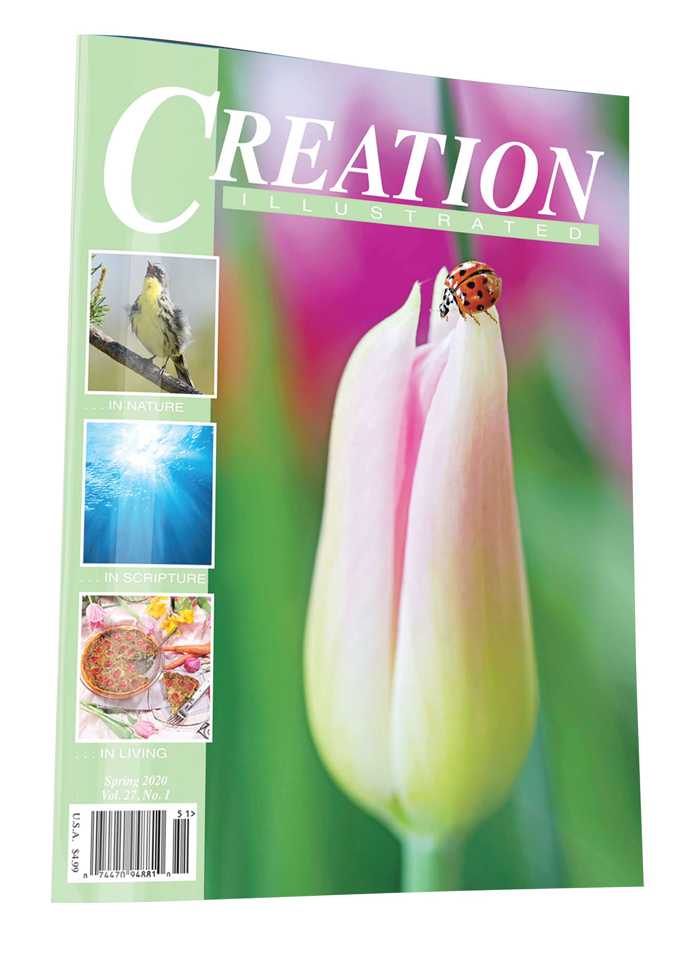 Creation For Spring Spring 2020 – Creation Illustrated