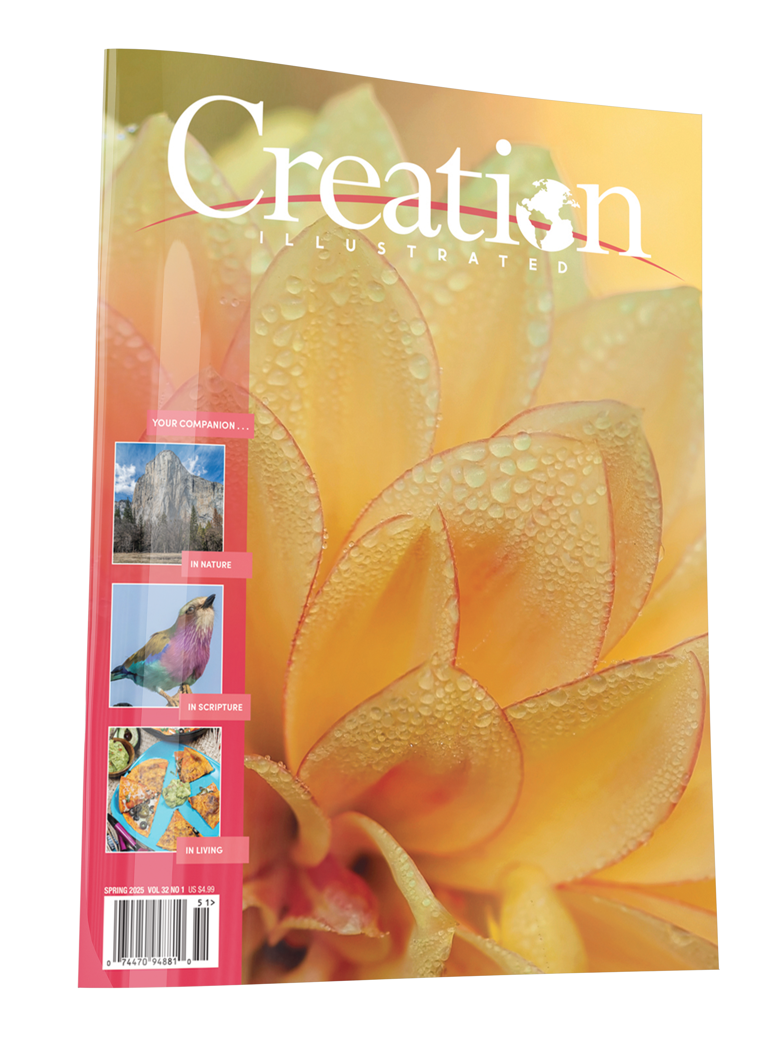 Creation Spring Spring 2025 – Creation Illustrated