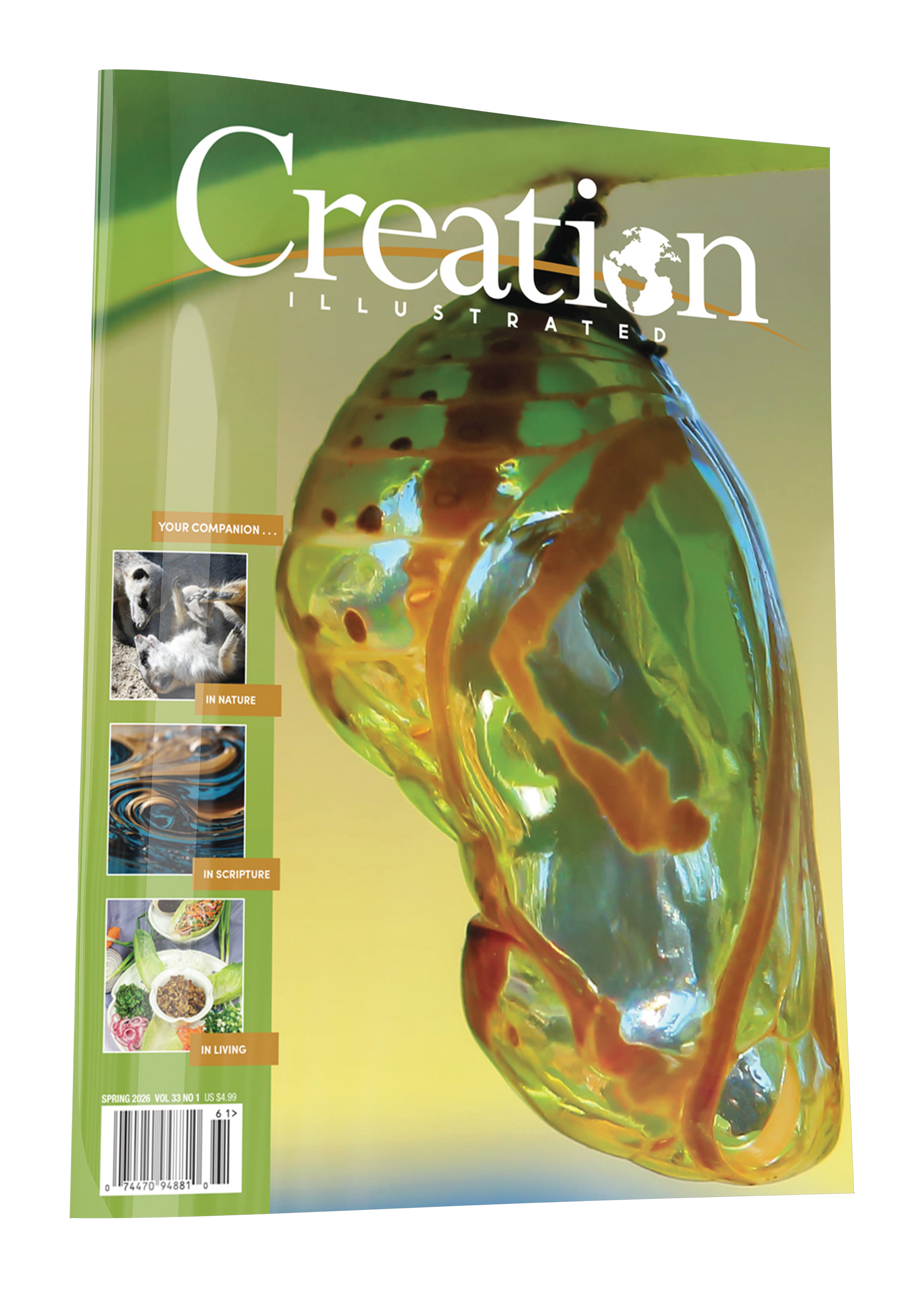 Spring 2026 – Creation Illustrated