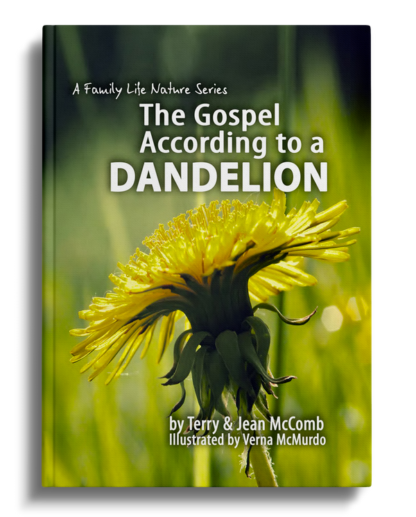 The Gospel According to a Dandelion