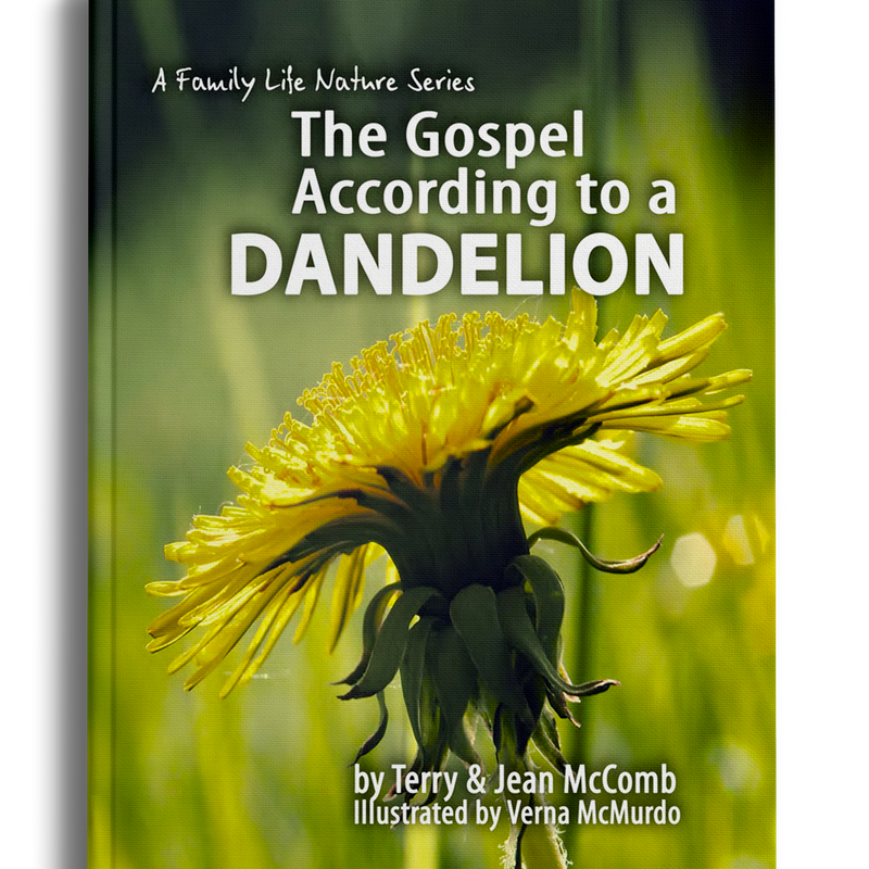 The Gospel According to a Dandelion