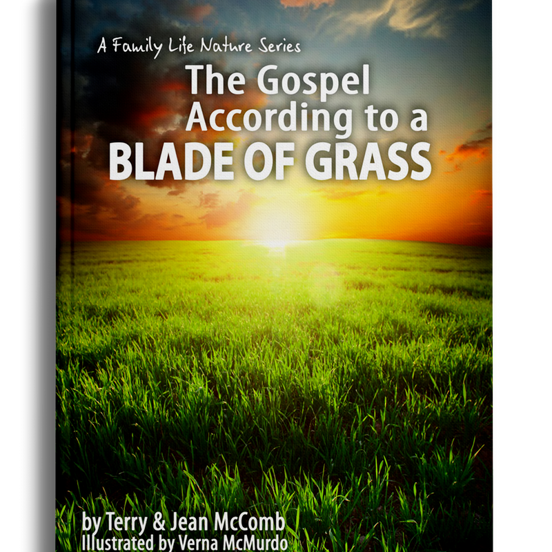 The Gospel According to a Blade of Grass