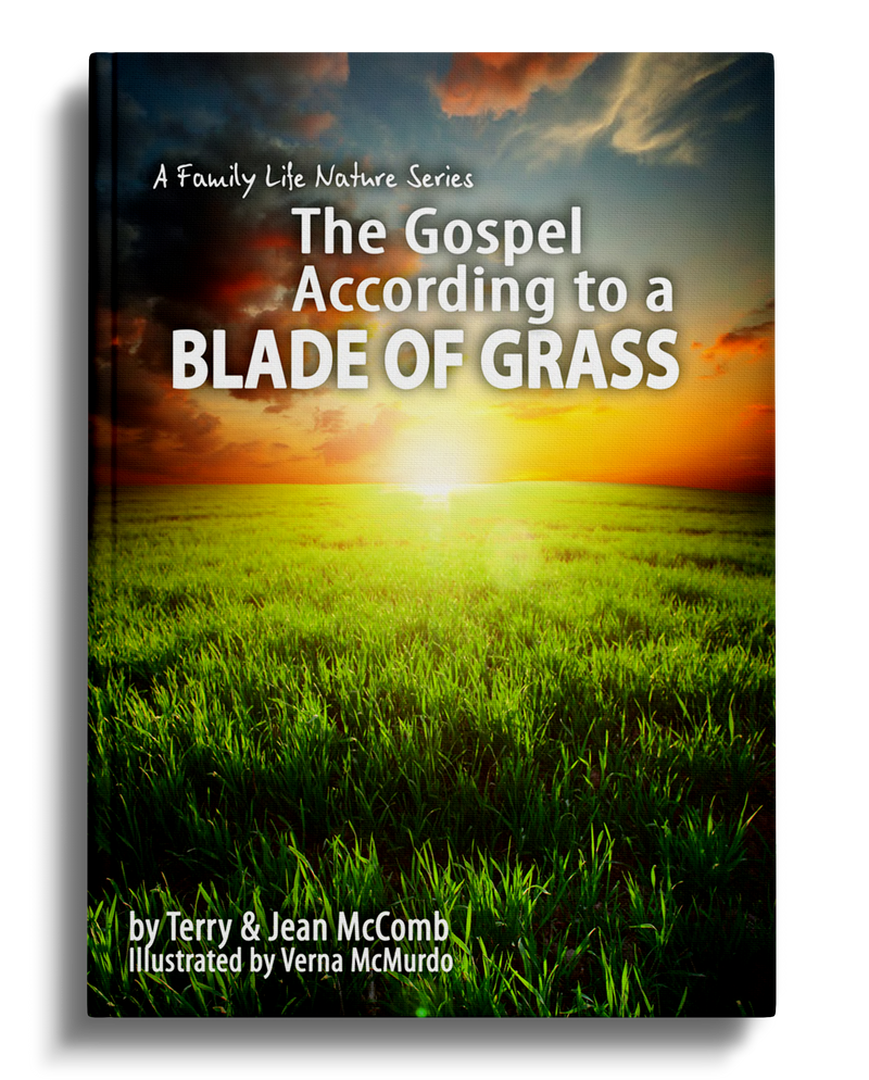 The Gospel According to a Blade of Grass