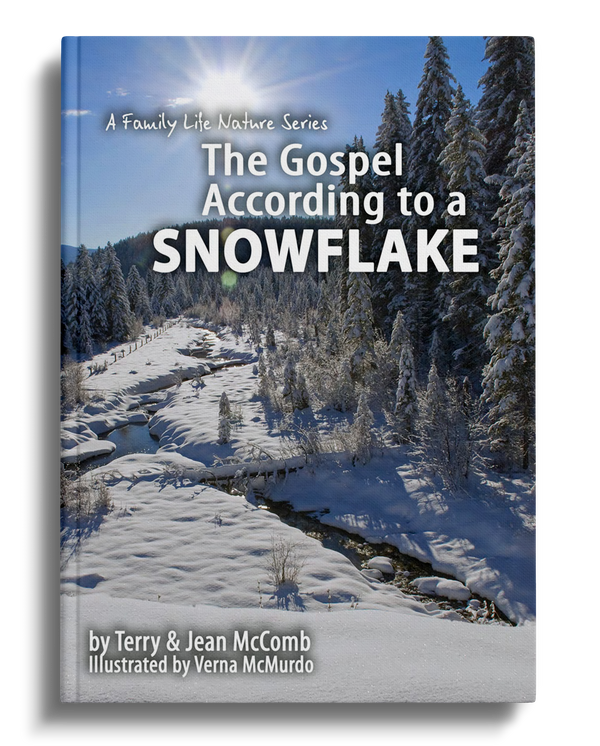 The Gospel According to a Snowflake