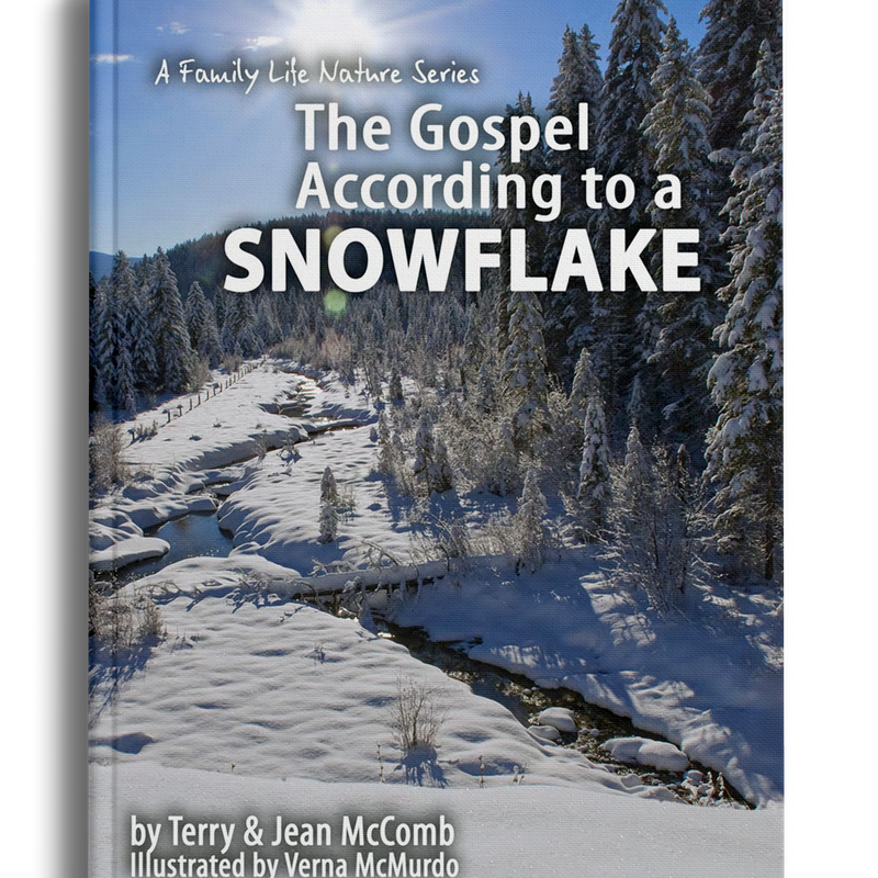 The Gospel According to a Snowflake