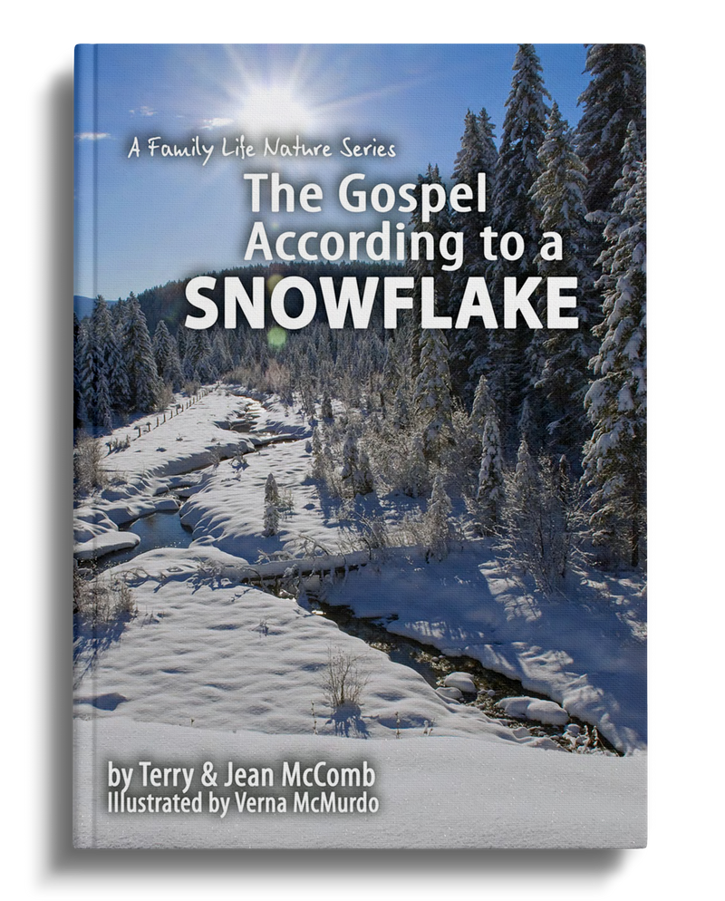 The Gospel According to a Snowflake