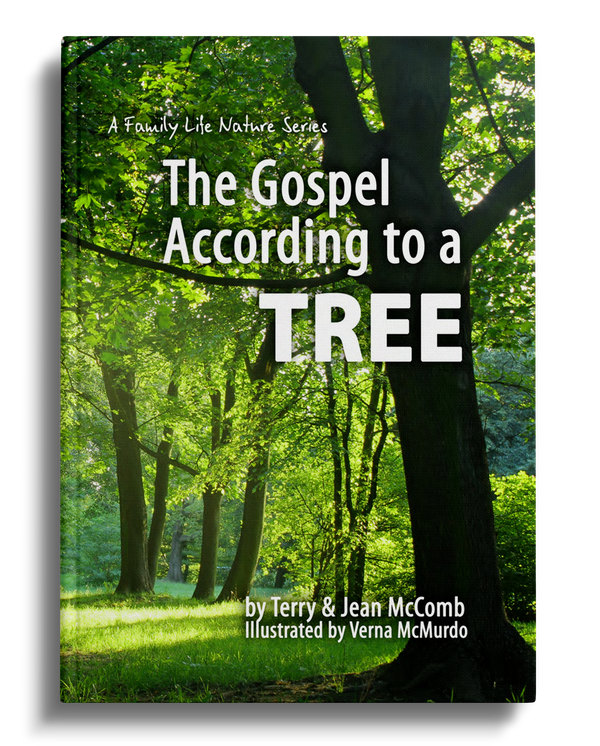 The Gospel According to a Tree