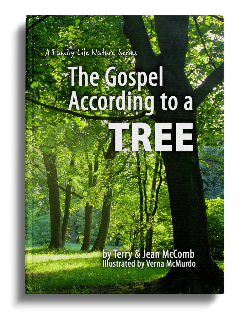 The Gospel According to a Tree