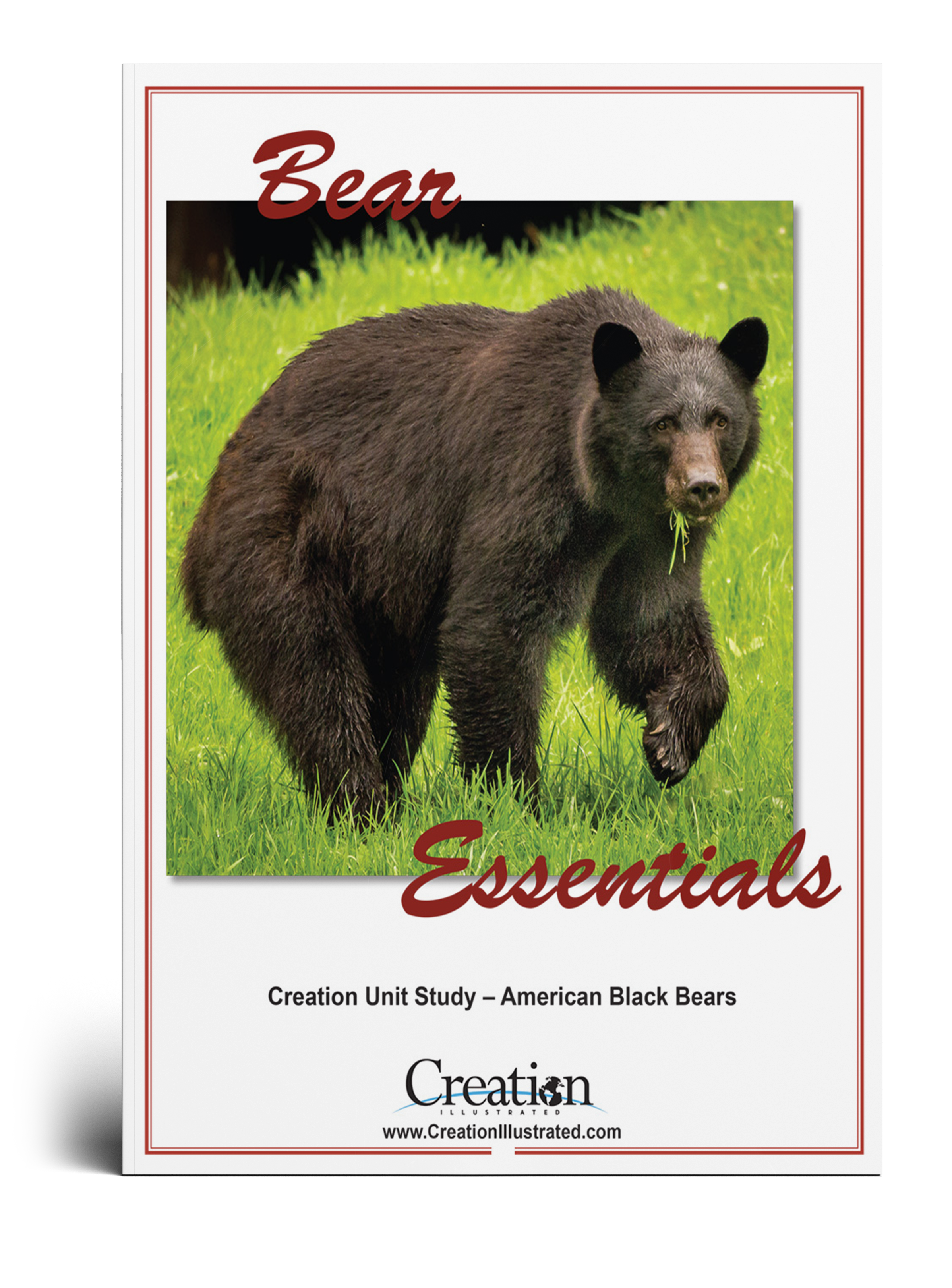 Bear Unit Study – Creation Illustrated